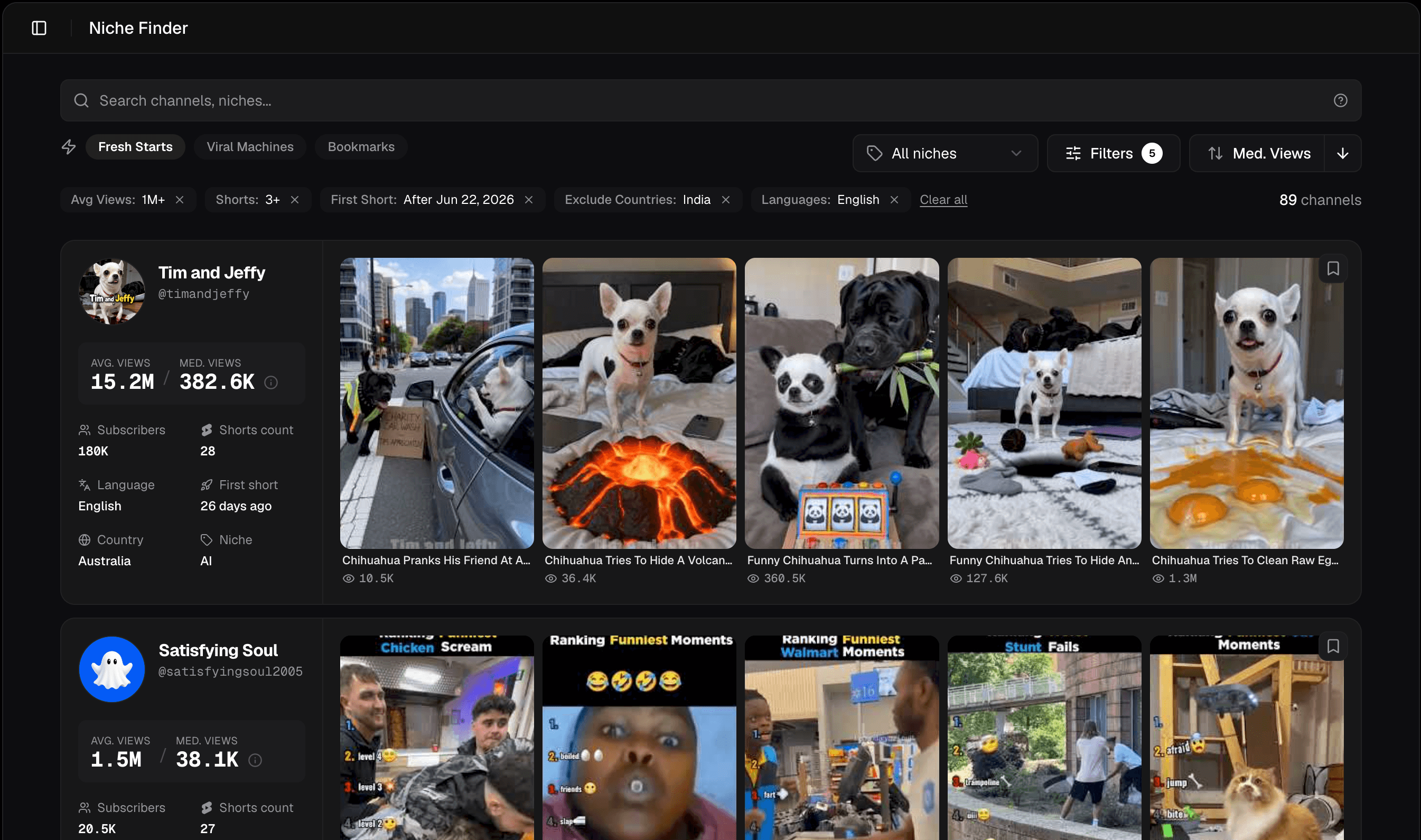 Niche Finder results showing channels with thumbnails, view counts, and stats
